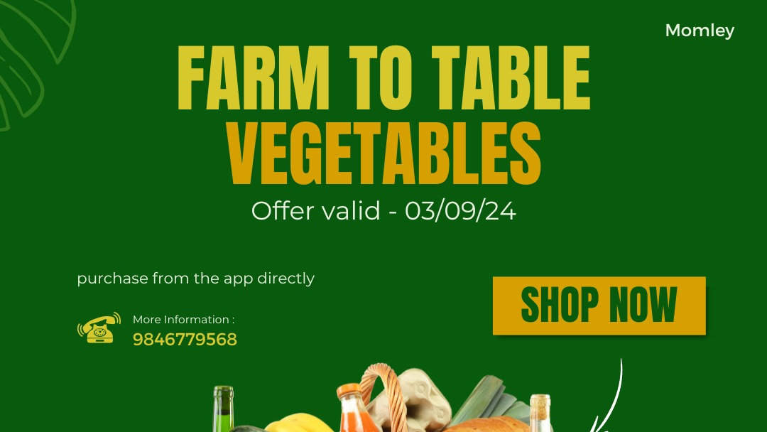 Main Banner Image 1